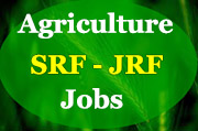 Agriculture SRF JRF Jobs