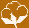 COTTON.jpg (1426 bytes)
