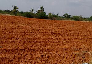 Agricultural Land for sale in Wardha