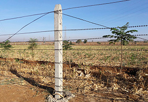 Razor Wire Fence For Sale