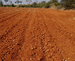 Agricultural Land for sale in Karnataka