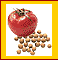 vegani.gif (4612 bytes)