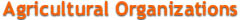 organizations.jpg (9406 bytes)