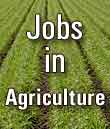Agriculture Jobs for Agriculture Graduates