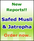 New Reports on Safed Musli & Jatropha