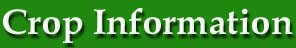 crop information