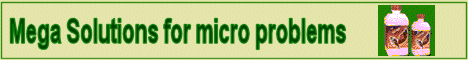 dhartianimimg.gif (17128 bytes)