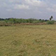 Agriculture land in Hosur
